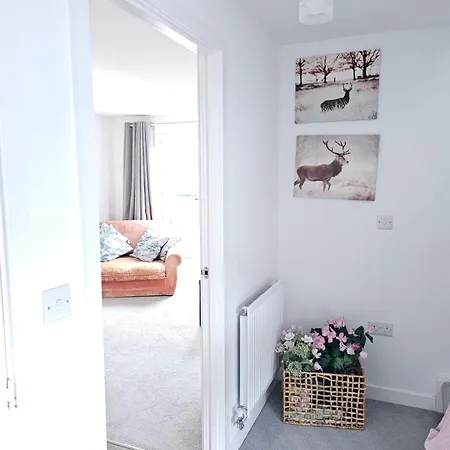 Modern 3 Bedroom Town House Ipswich Exterior photo
